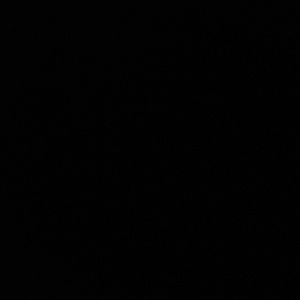 Meet your Posher, Yosef